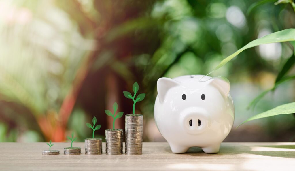 Saving Is Developing a System
